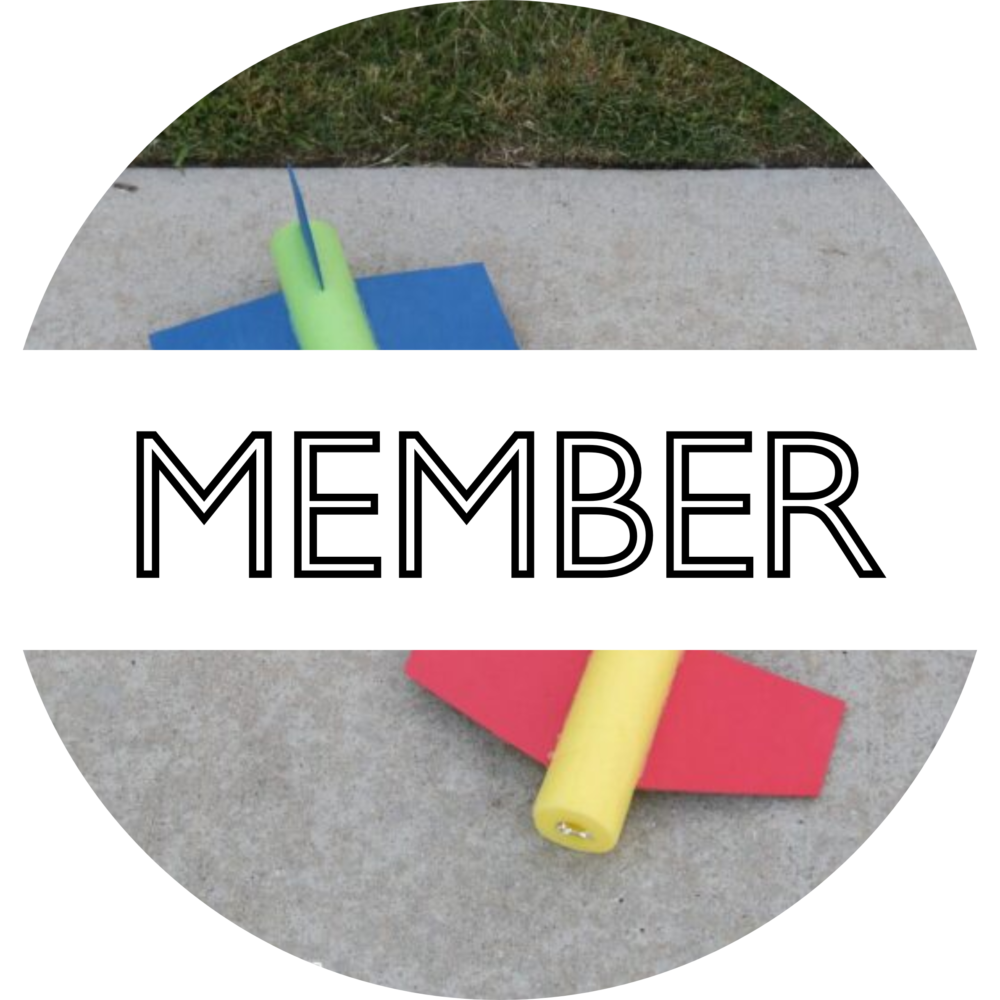 Pool Noodle Plane Member