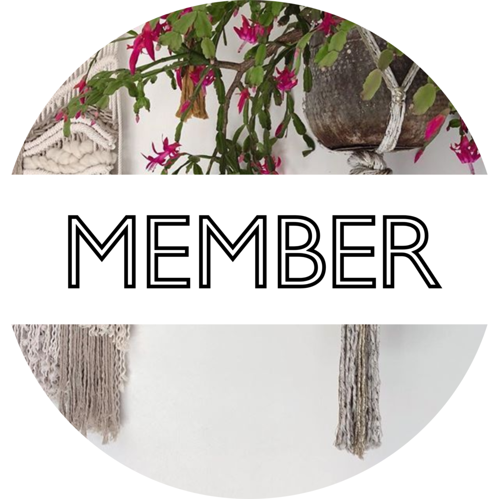 Macrame Holder & Painted Pot with Christmas Cactus Member