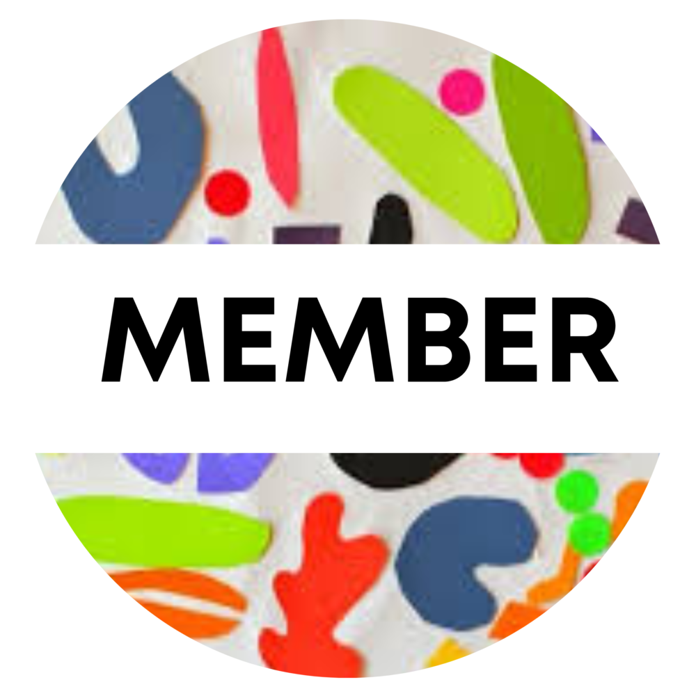 The Art Experience Member